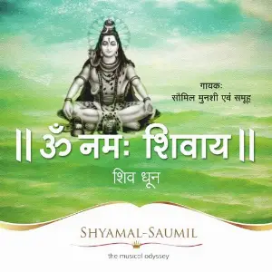 Om Namah Shivay image