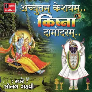 Achyutam Keshavam Krishna Damodaram image