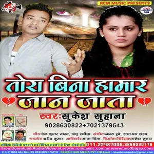 Tora Bina Humar jaan jata image