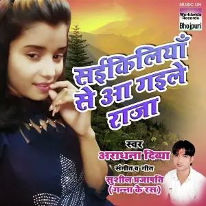 Saikiliya Se Aa Gayile Raja image