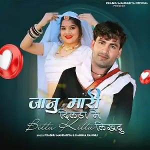 Janu Mari Dilda Me Bittu Kittu Likhdu image