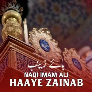 Haaye Zainab - Single image