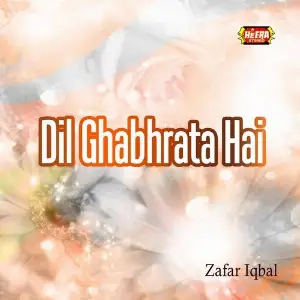 Dil Ghabhrata Hai image