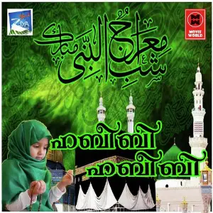 Habibi Habibi Various Artists