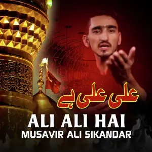 Ali Ali Hai image