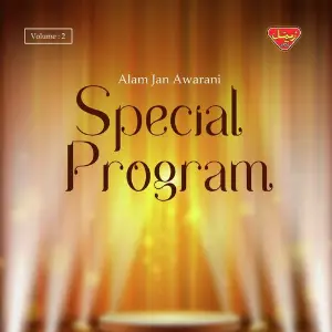 Special Program, Vol. 2 image