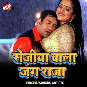 Sejiya Wala Jung Raja image