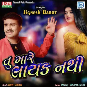 Tamne Manya Chhe Mann Na Manigar Jignesh Barot
