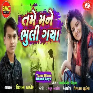 Kai Bhulno Lidho Chhe Aavo Badalo Tame Vishal Thakor