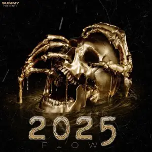 2025 Flow image