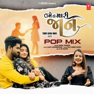 Tame Chho Mari Jaan - Pop Mix image