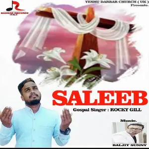 Saleeb image