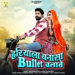 Hariyala Banasa Bullet Chalave image