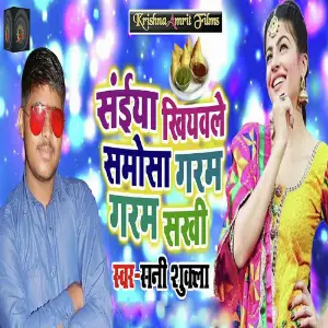 Saiya Khiyawle Samosa Garam Garam Sakhi image