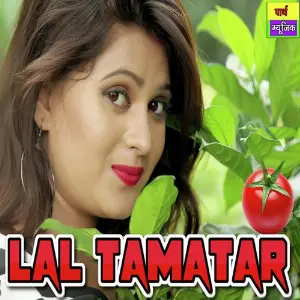 Lal Tamatar image