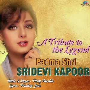 Pareshaan Parinda - Ek Bechara Vicky Parekh