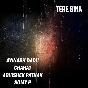 Tere Bina image