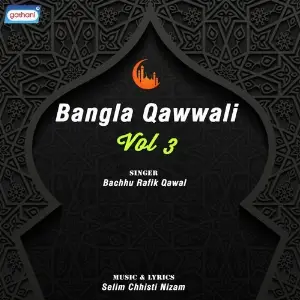 Bangla Qawwali Vol 3 image