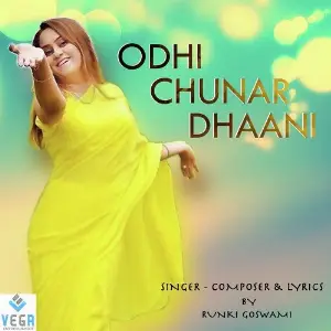 Odhi Chunar Dhaani image