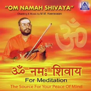 Om Namah Shivaya image