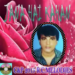 Jana Hai Kahan Robin, Shikha