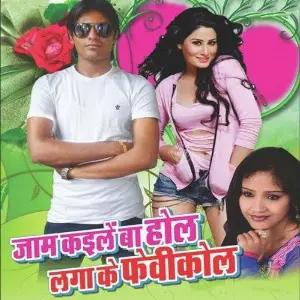 Jaam Kaile Ba Hol Lagake Fevicol image