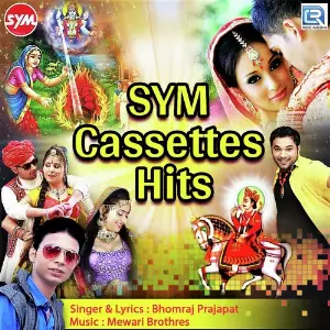 SYM Cassettes Hits image