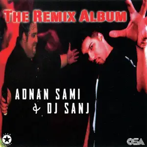 The Remix Album image