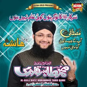 Sarkar Ka Nokar Hun Koi Aam Nahi Hon image