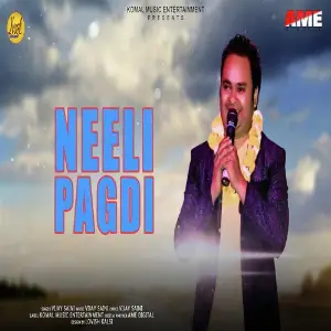 Neeli Pagdi - Single image