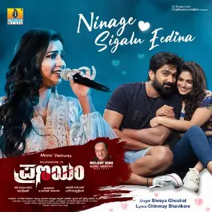 Ninage Sigalu Eedina (From Pranayam) image