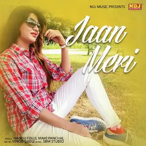 Jaan Meri image