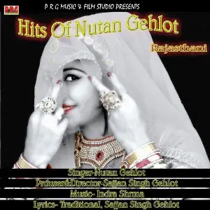 Hits Of Nutun Gehlot image