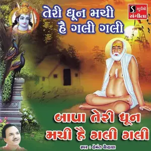 Teri Dhun Machi Hai Gali Gali image