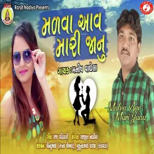 Malva Aav Mari Janu image