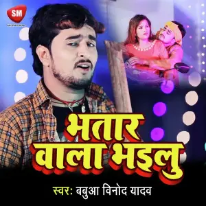 Bhatar Wala Bhailu image