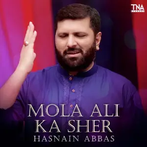 Mola Ali Ka Sher - Single image