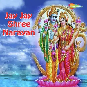 Jay Jay Shree Narayan image