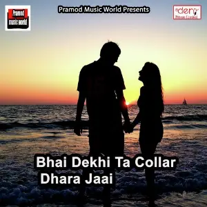 Bhai Dekhi Ta Collar Dhara Jaai image