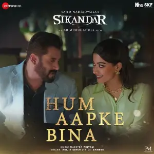 Hum Aapke Bina (From Sikandar) image