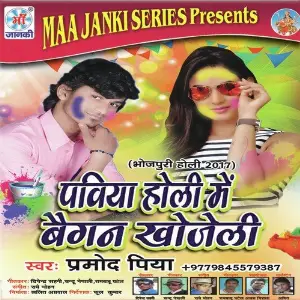 Paviya Holi Me Begen Khojeli image
