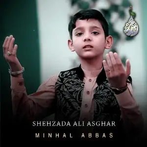 Shehzada Ali Asghar - Single image