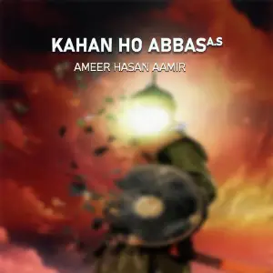 Kahan Ho Abbas A.s image