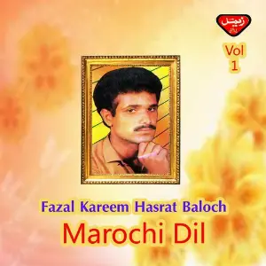 Marochi Dil, Vol. 1 image