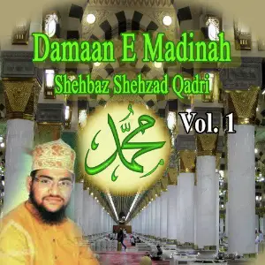 Damaan E Madinah, Vol. 1 image