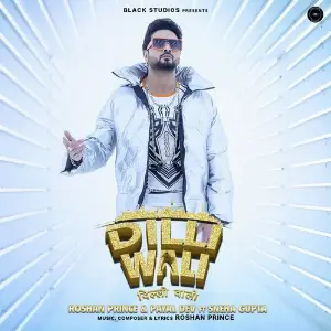 Dilli Wali image