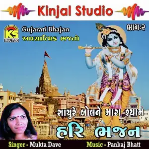 Hari Bhajan, Vol. 2 image