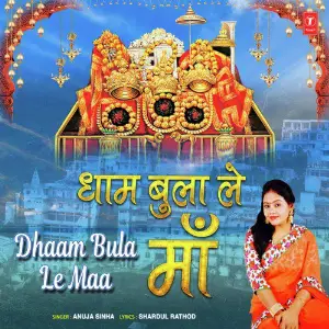 Dhaam Bula Le Maa image