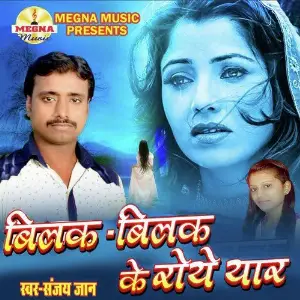 Bilak Bilak Ke Roye Yaar image