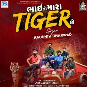 Bhai To Mara Tiger Chhe image